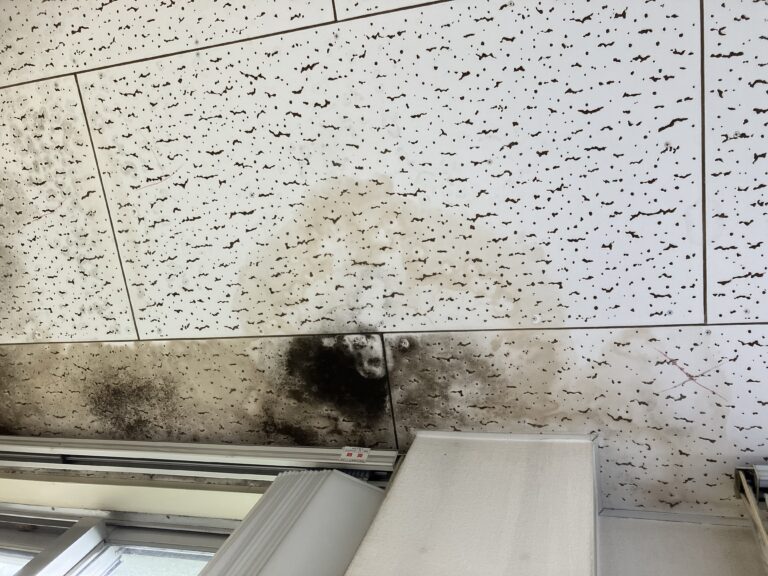 伊万里市｜雨漏り修理・天井張り替え