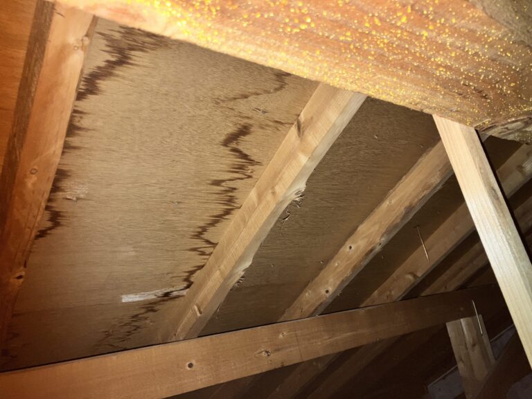 福岡市｜雨漏りで火災保険使える？