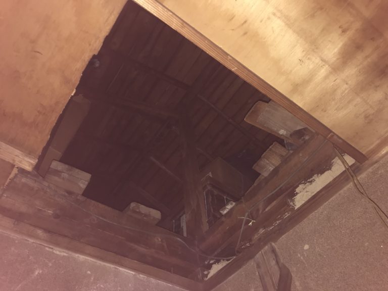 平戸市　台風被害　お問合せ